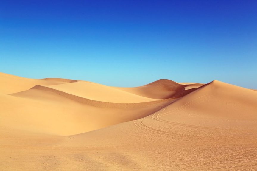 I microrganismi e i suoli del deserto